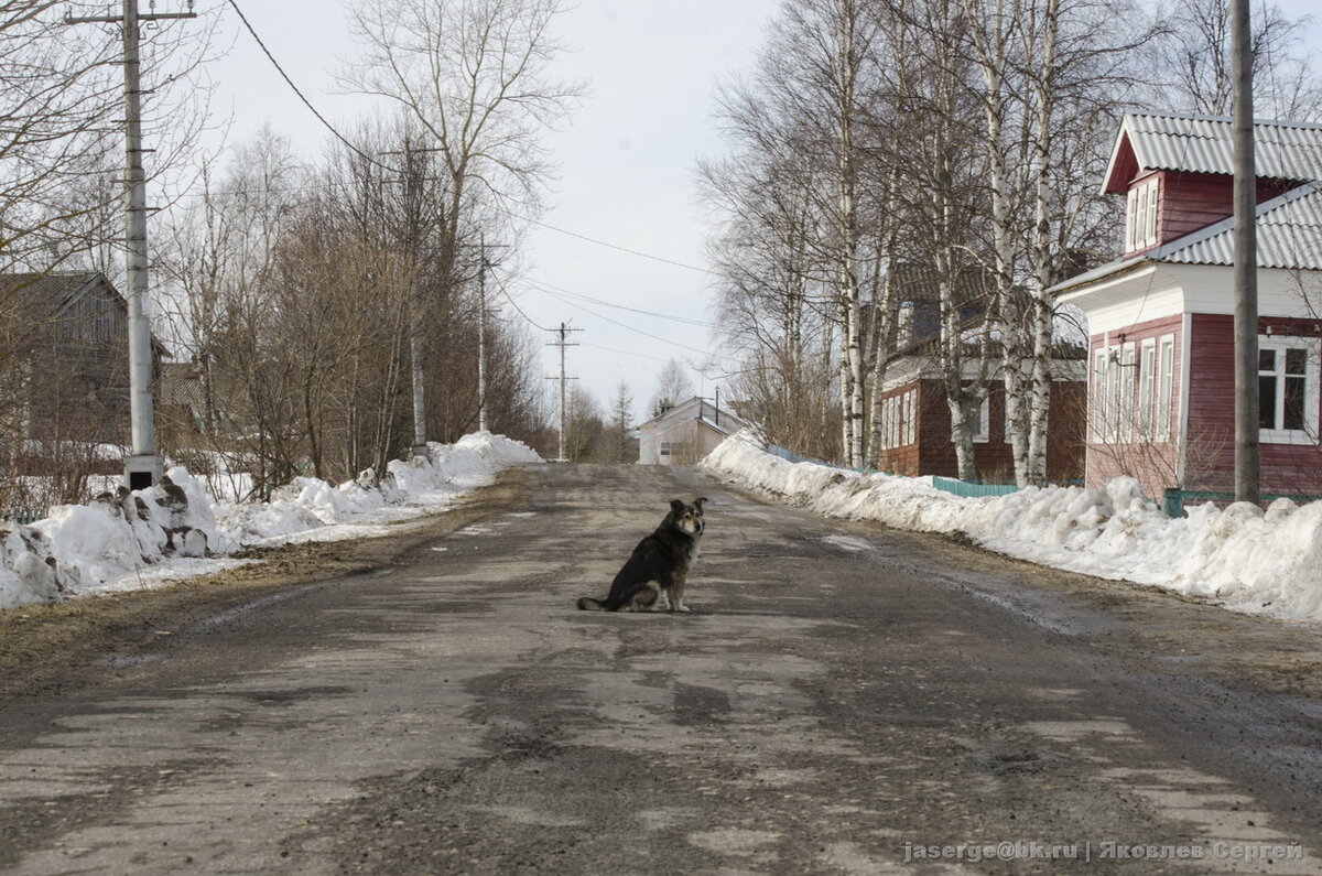 Центральная улица села 