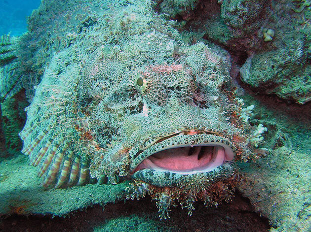 Мое состояние утром... 