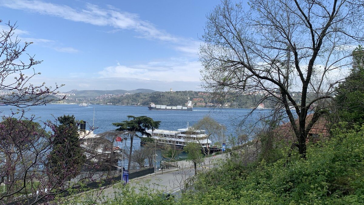 ��� � �������� �������� ����� �������