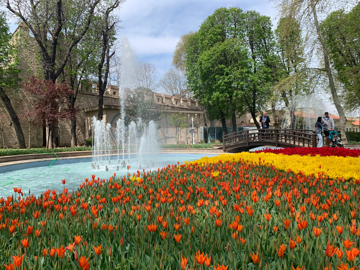 ���� ��������