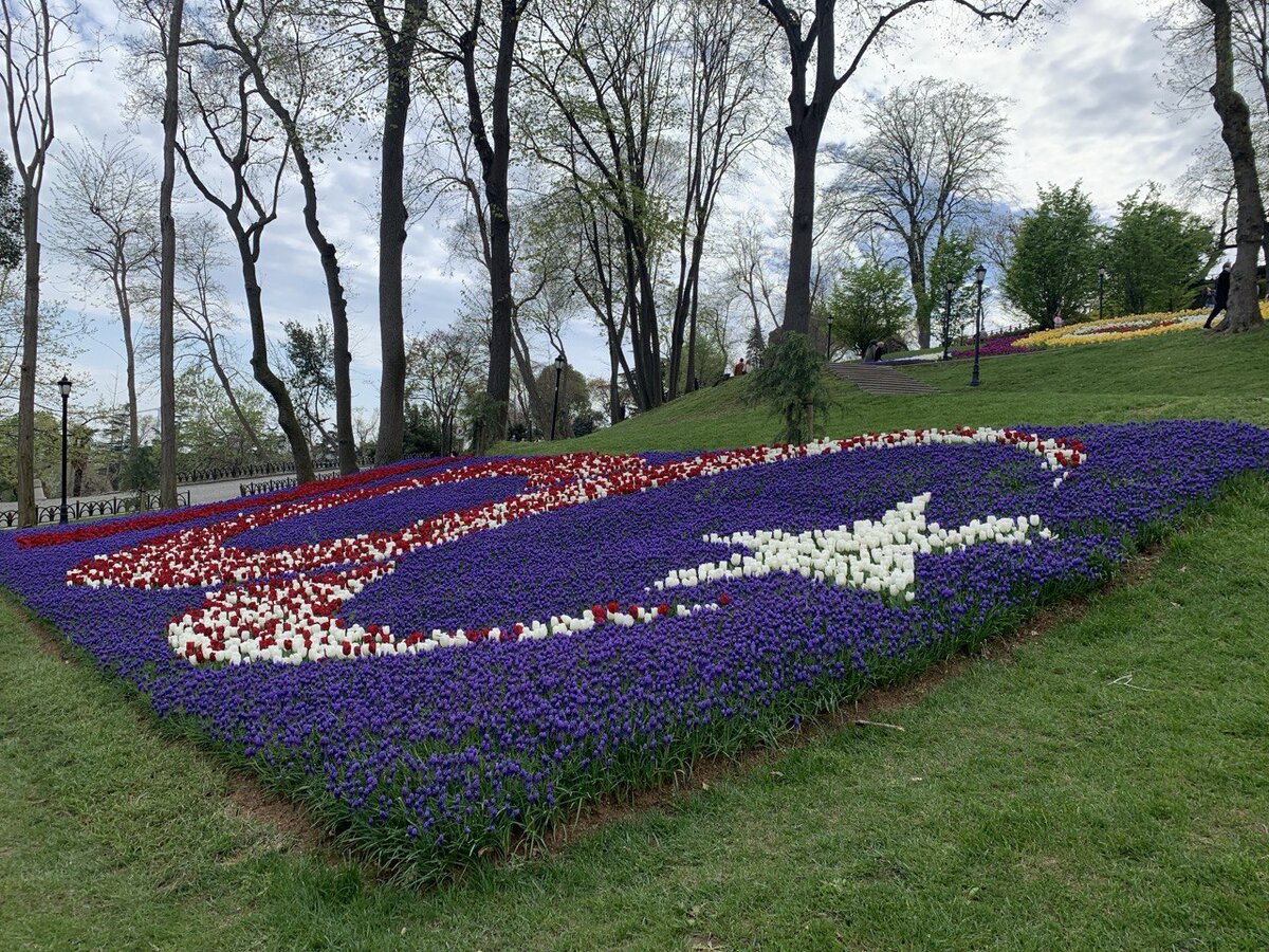 � ����� �������� �������� ����������. ���� �������