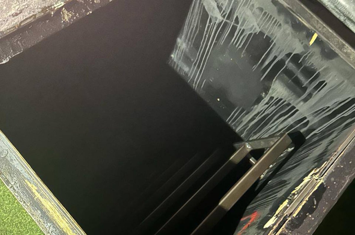    Дочь индийца?