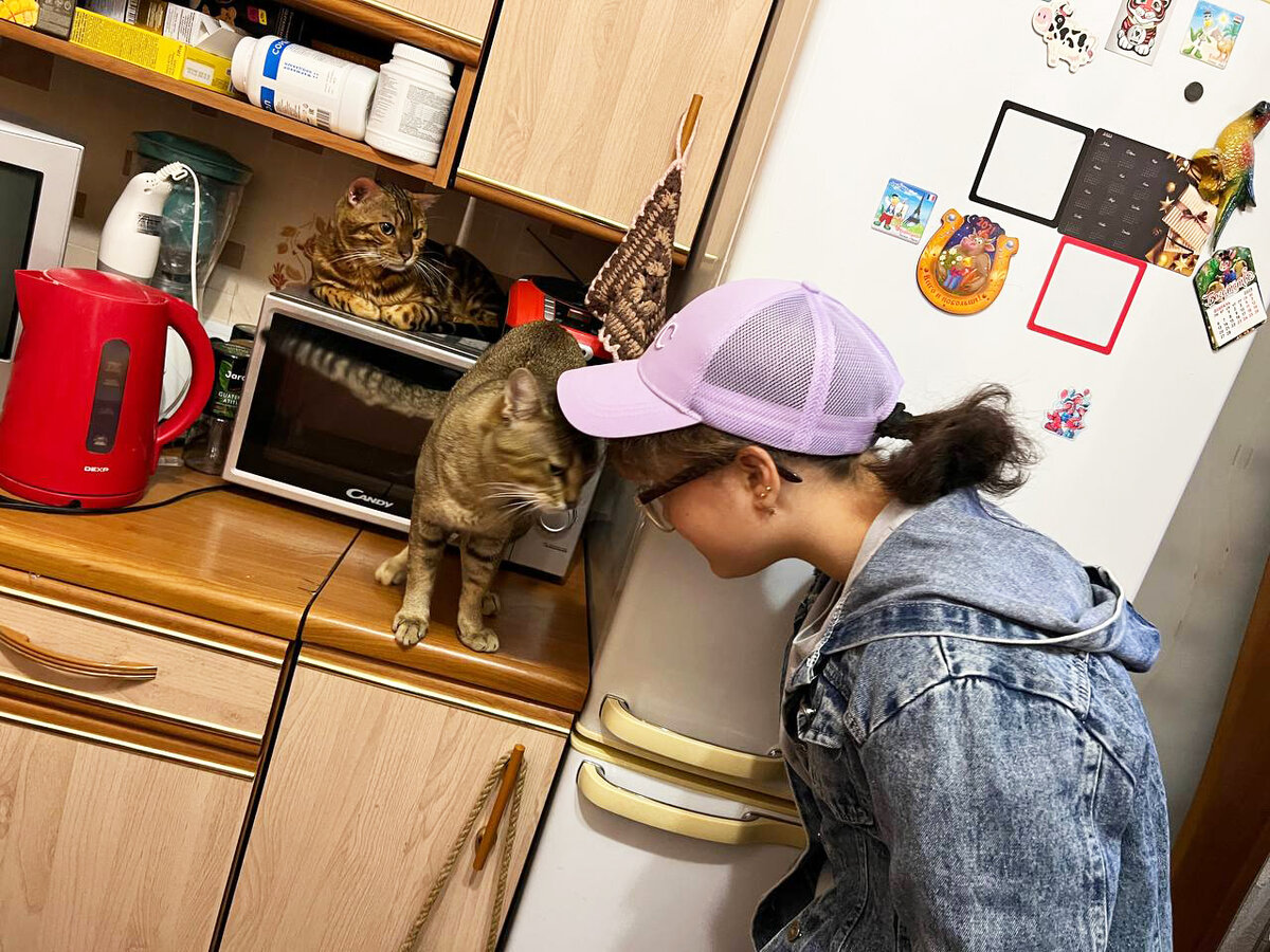 Злата общается с котиком