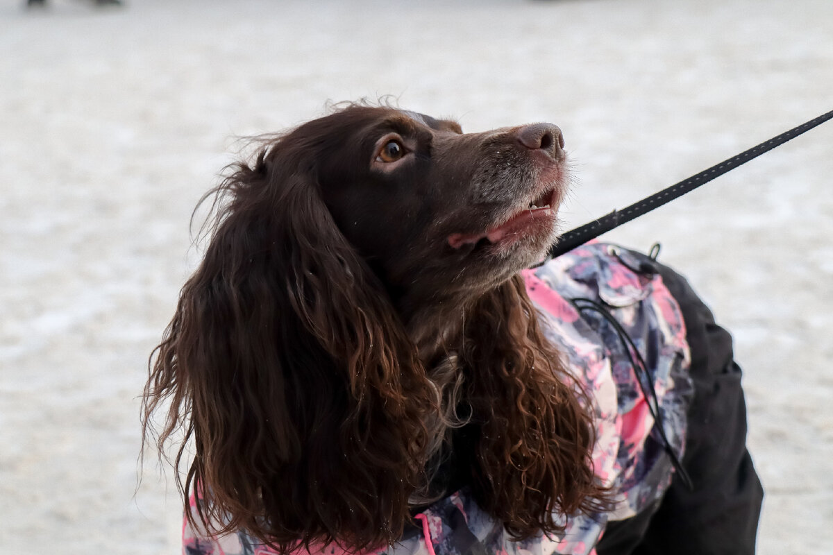 Global Look Press/Elena Mayorova