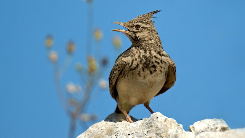   globallookpress.com Eduard Kislinsky