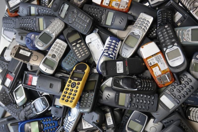    Фото: Bernhard Kreutzer/Globallookpress