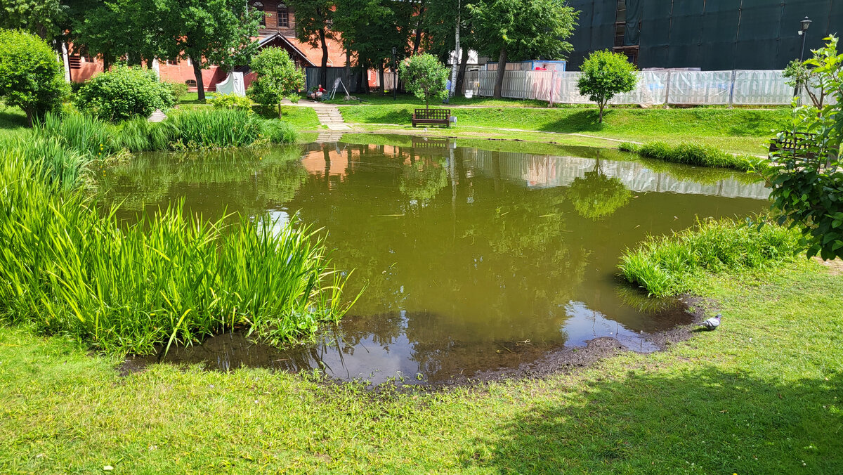 Фото принадлежит автору канала.