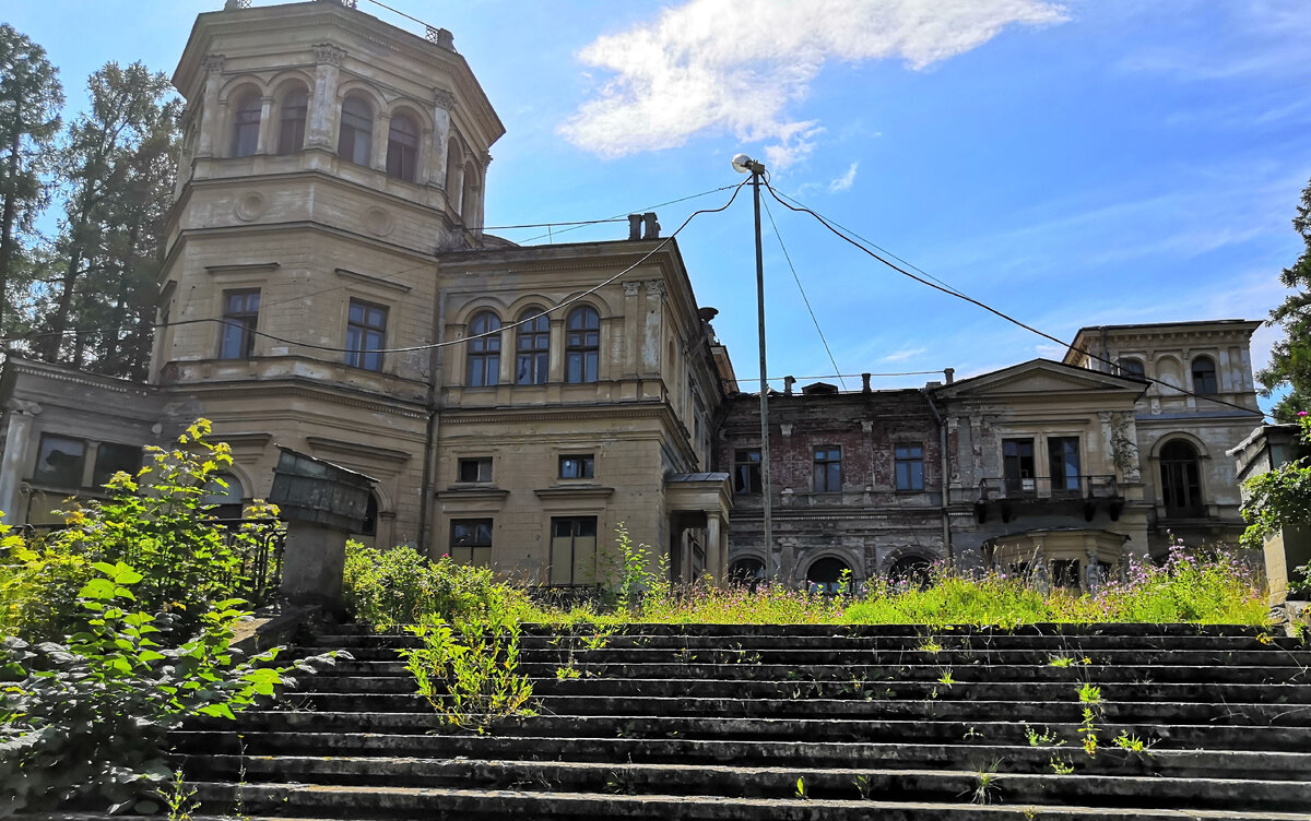 фото 2019 можно листать