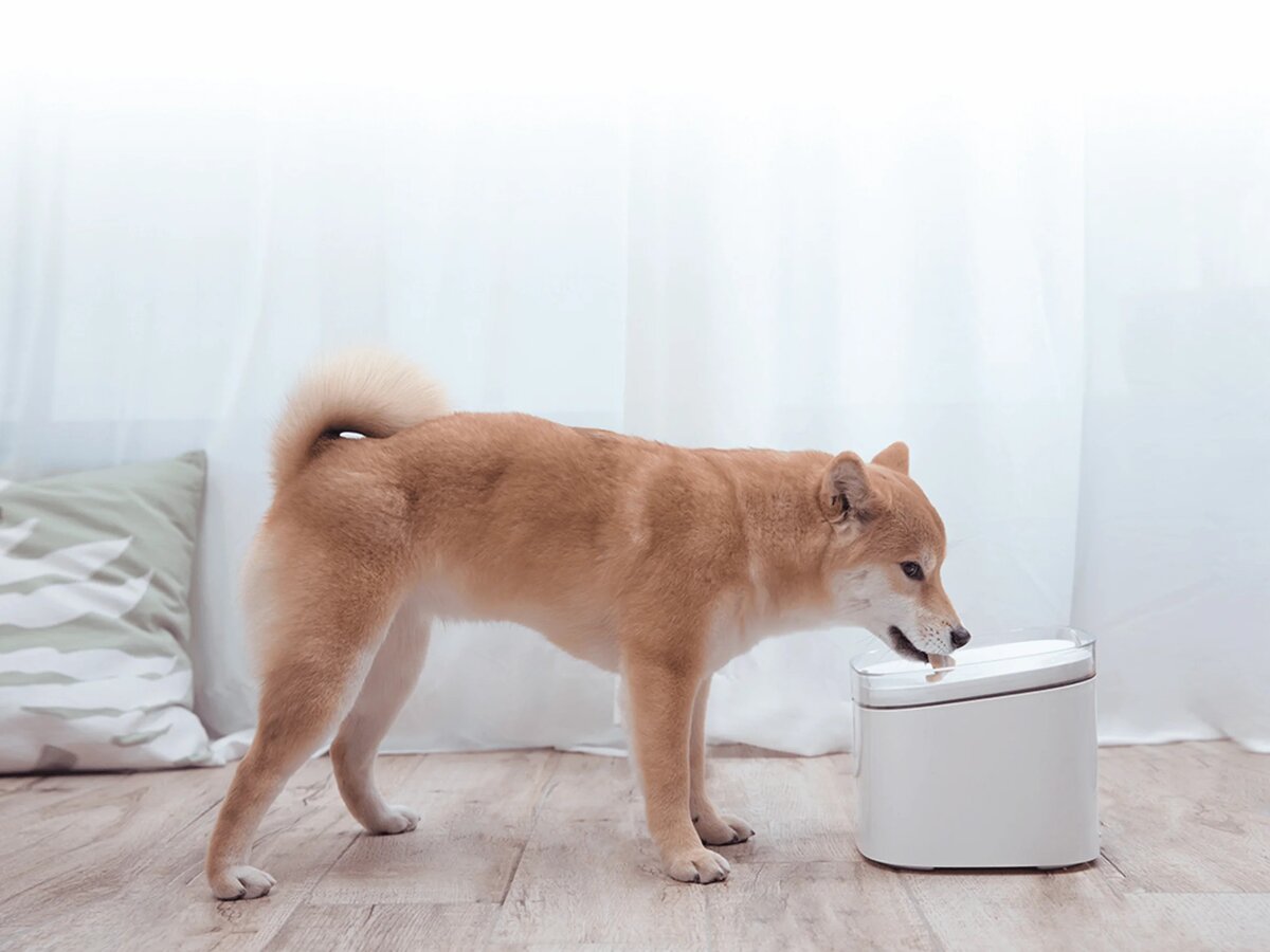 Фото: Xiaomi Smart Pet Fountain