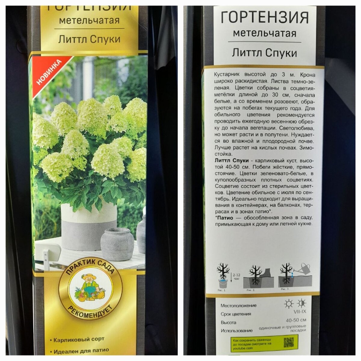 Описание сорта «Литтл Спуки» на коробке