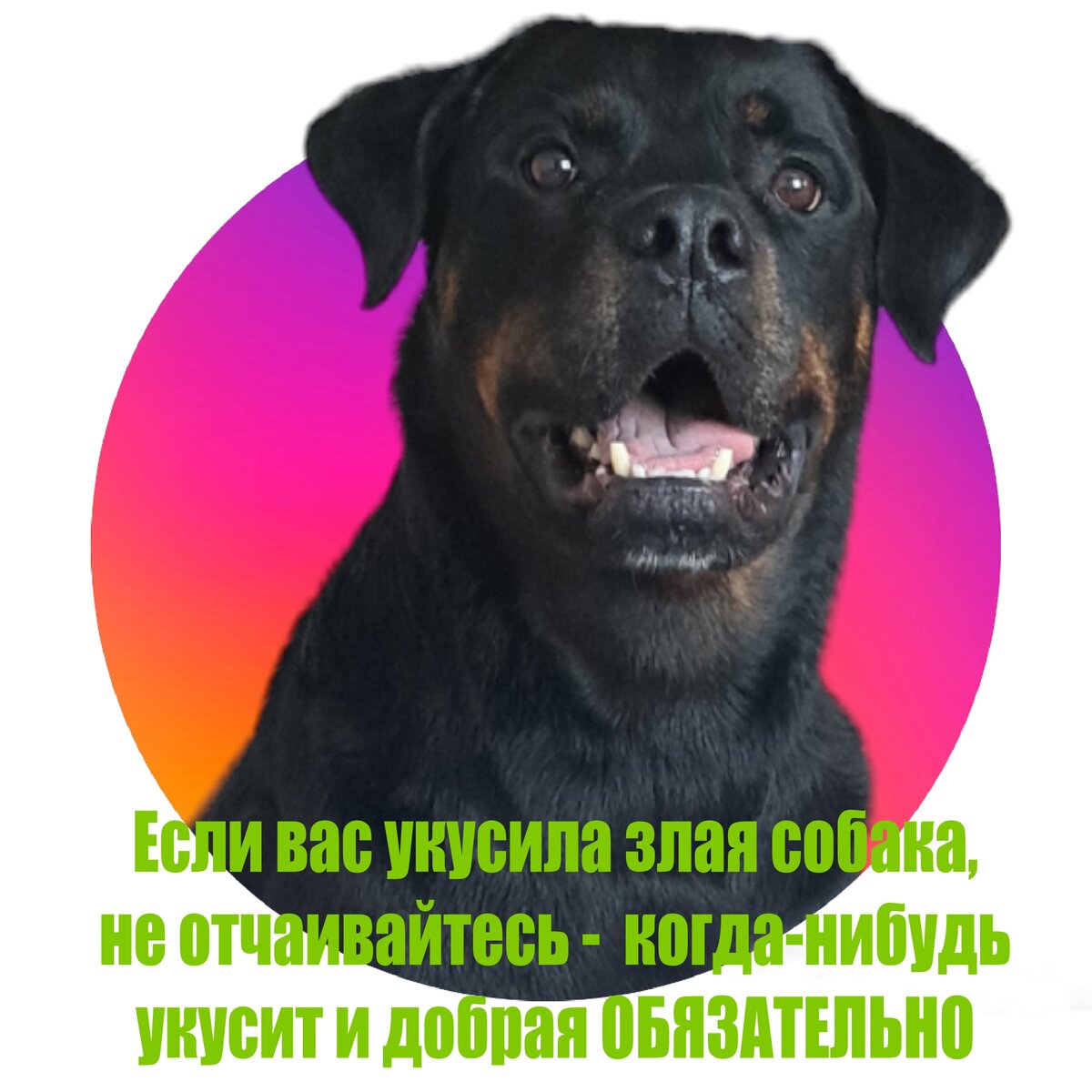 фото обработано автором