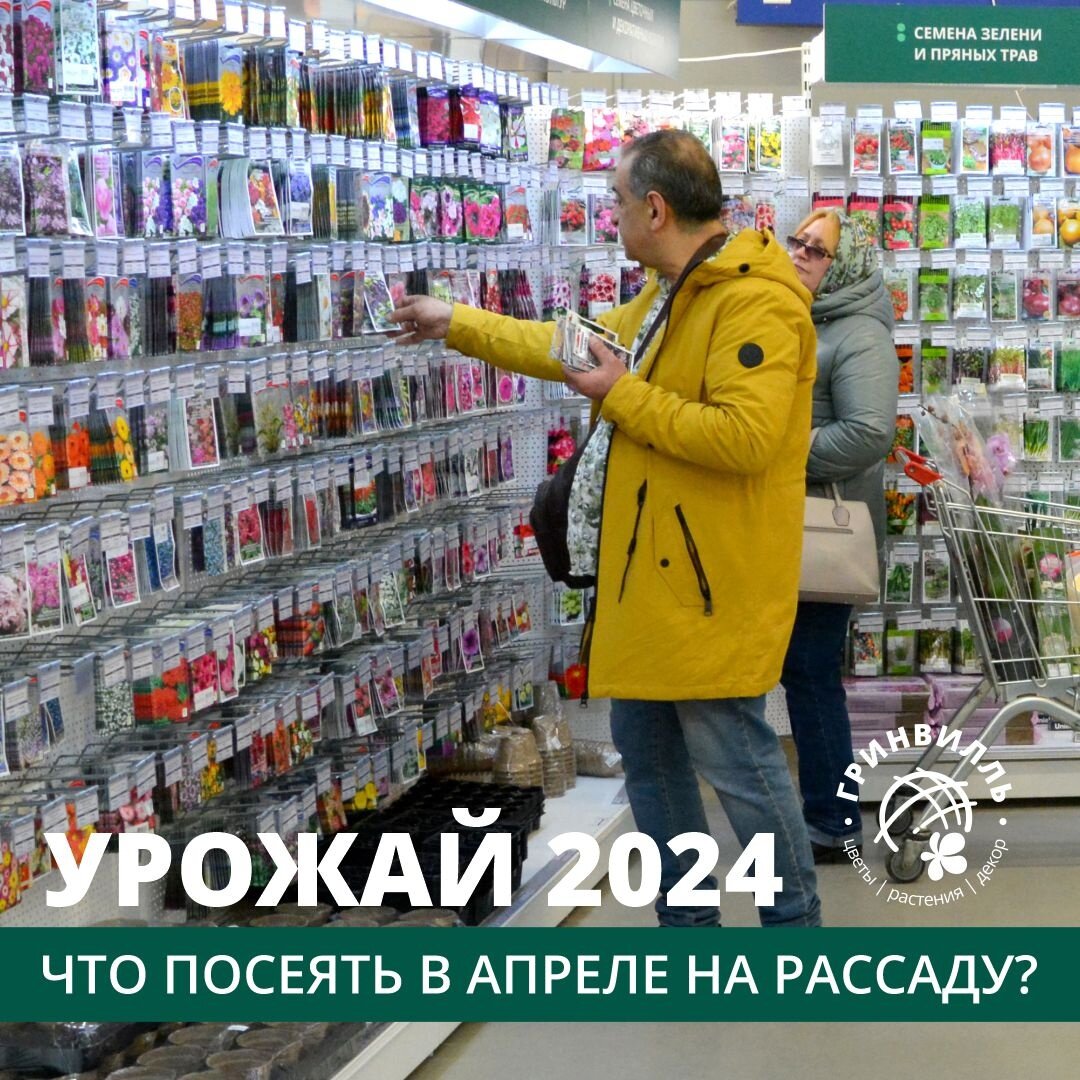 УРОЖАЙ 2024. ЧТО ПОСЕЯТЬ В АПРЕЛЕ НА РАССАДУ? | Гринвилль | Дзен