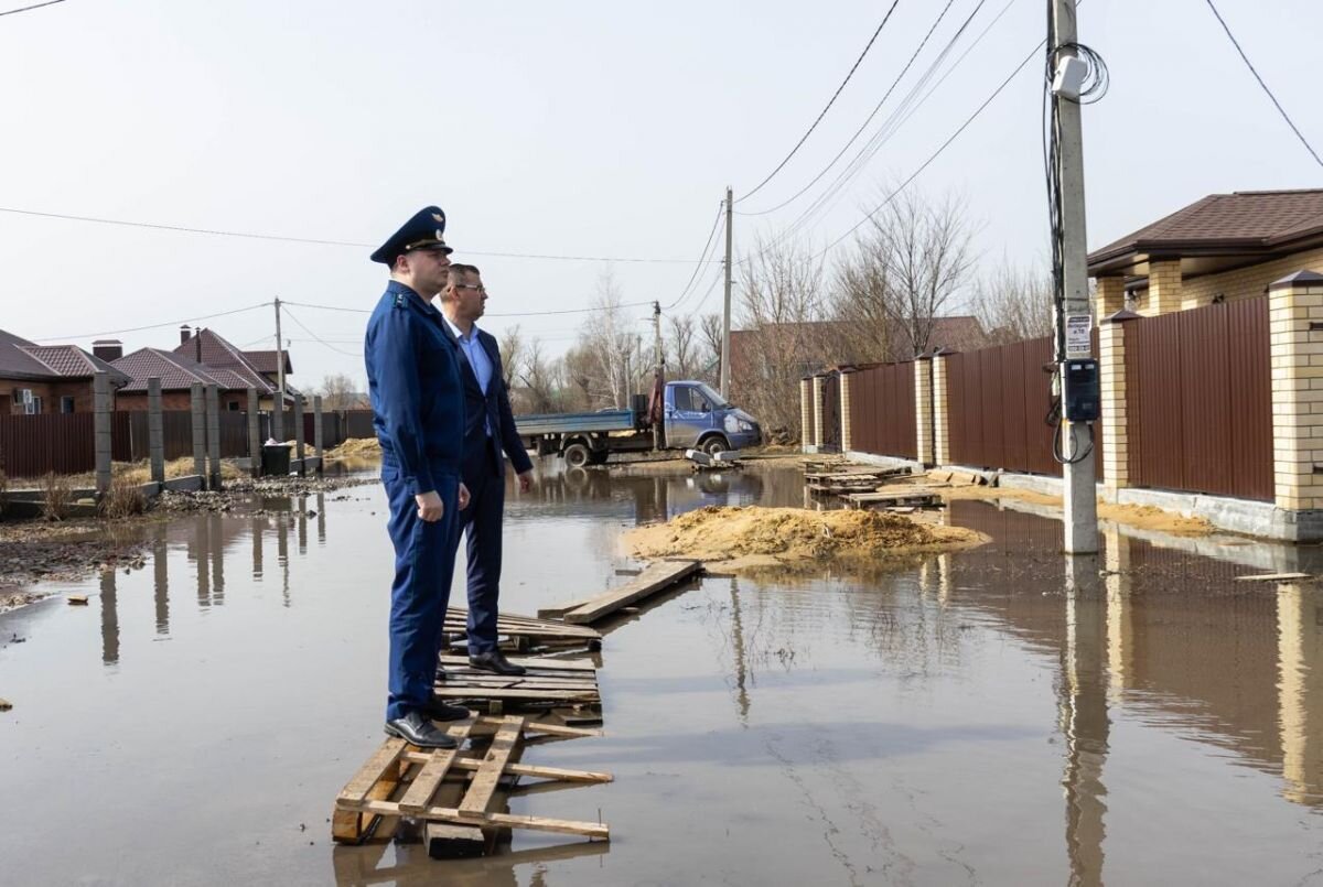 Прокуроры выявили зоны риска в четырех воронежских селах на фоне  бездействия властей | «Воронежские новости» | Дзен