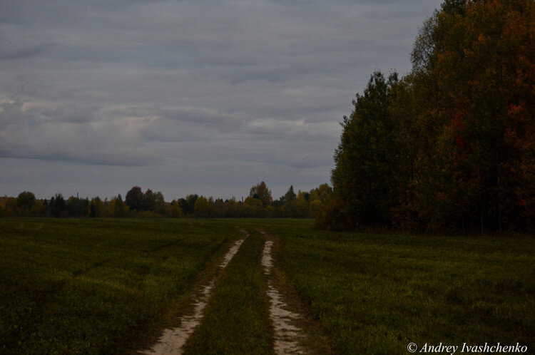  Есть такое село, Сада называется. Расположено оно на границе с Кировской областью в Ярском районе северо-западной части Удмуртии.-2
