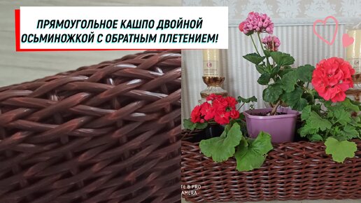 #ротанг ПРЯМОУГОЛЬНОЕ КАШПО ДВОЙНОЙ ОСЬМИНОЖКОЙ С ОБРАТНЫМ ПЛЕТЕНИЕМ! #кашпосвоимируками #кашпоизротанга #обратноеплетение #прямоуголноекаш