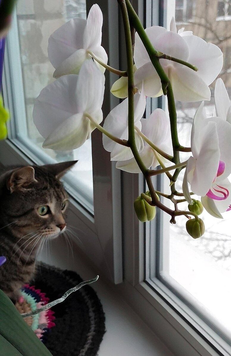 Ричард 👀 в Саду. 