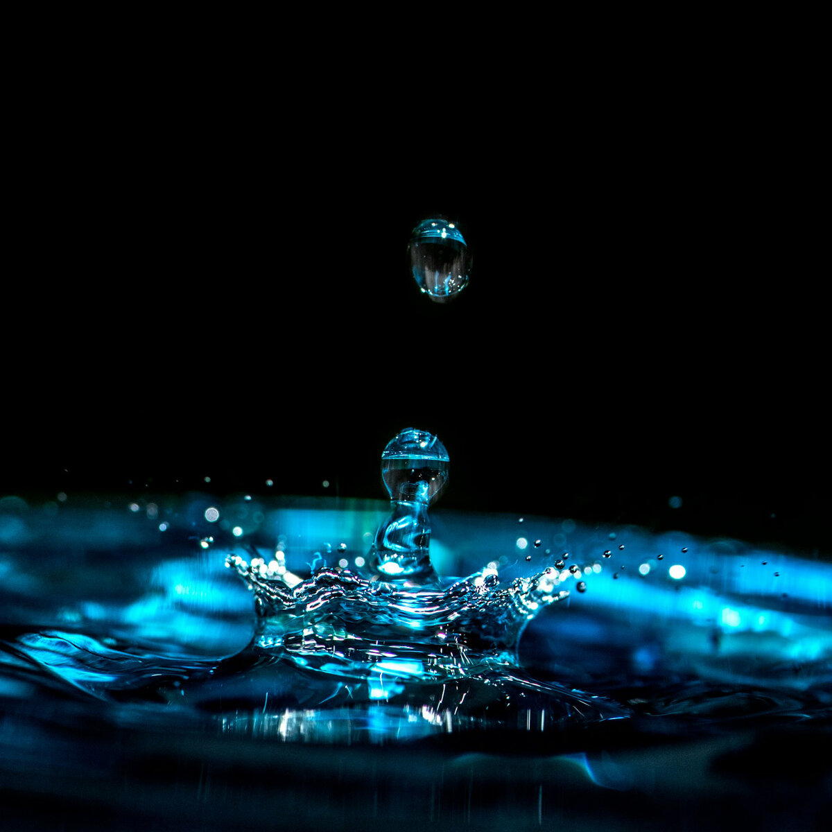 By Erda Estremera on Unsplash