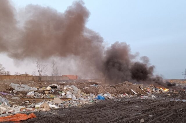    Фото: Красноярское региональное отделение ОНФ