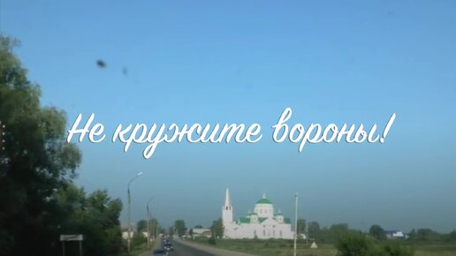 Не кружите вороны!