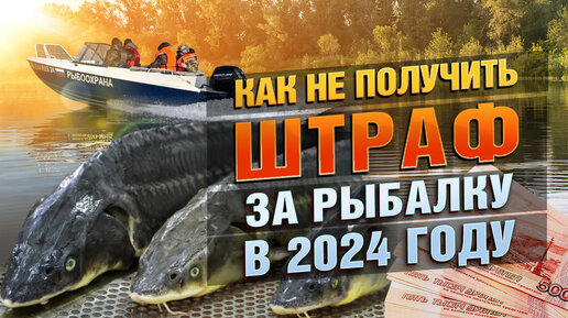 Как не получить штраф за рыбалку в 2024 году?