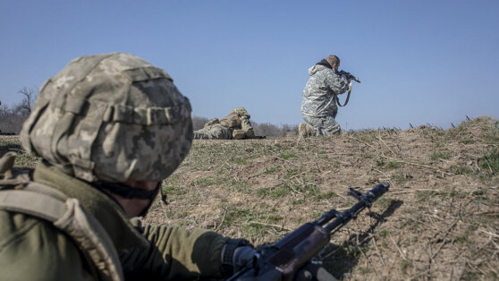    В МИД отреагировали на участие наемников из Швеции в СВО Татьяна Сидорова