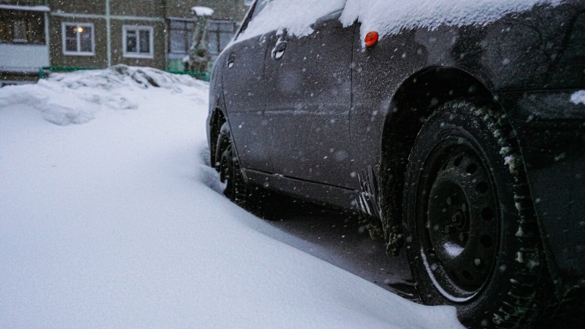 Светлана Мулыкина📷
