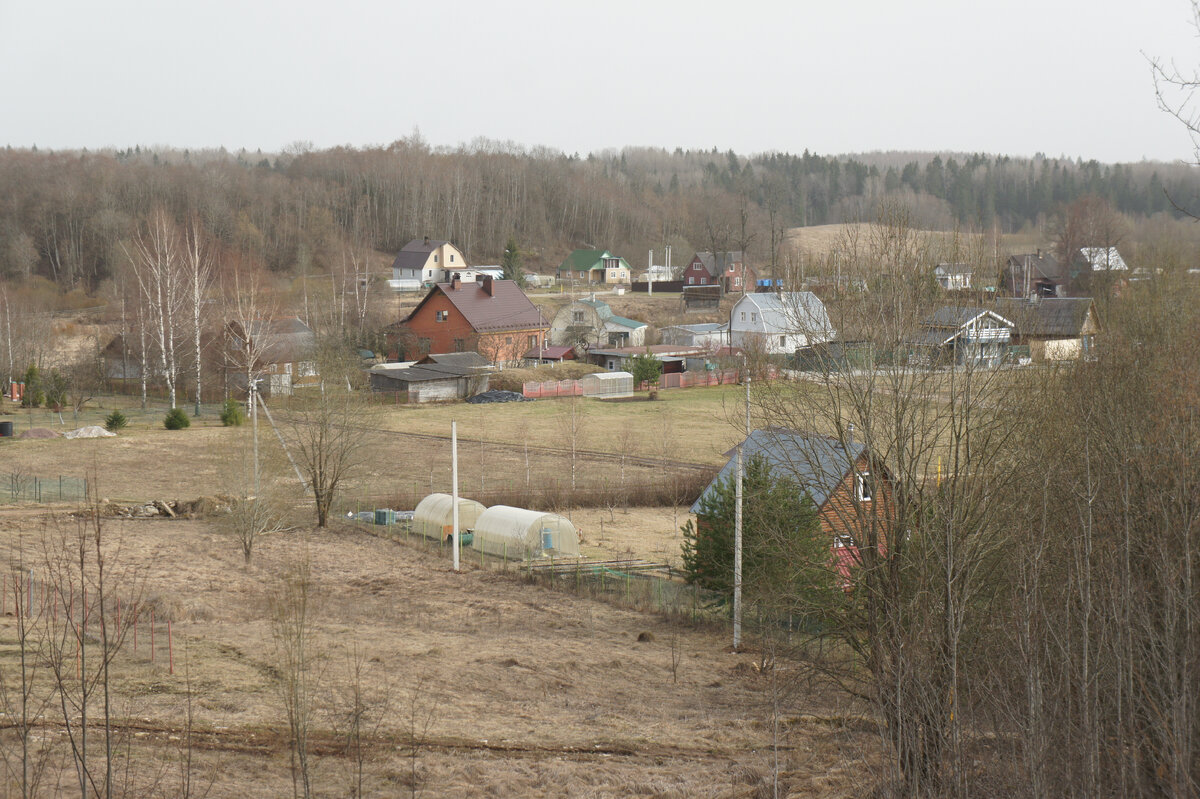 1 апреля 2024 года →