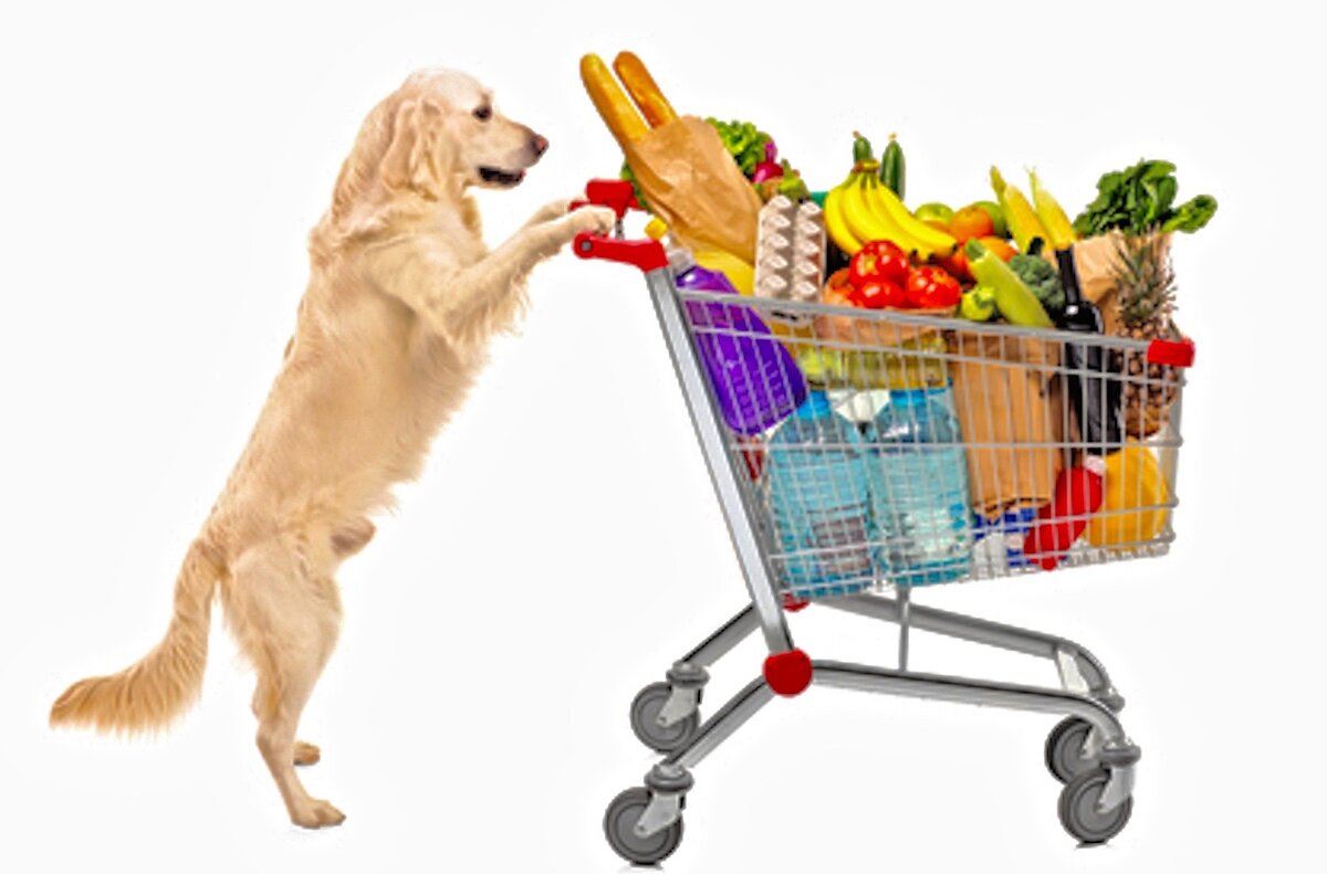 -И в магазин я обязательно схожу!