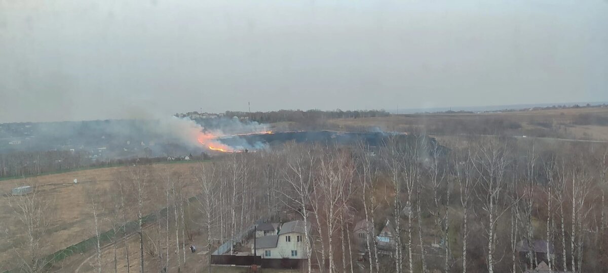    Курян предупреждают: разводить огонь в ветренную погоду категорически запрещено!