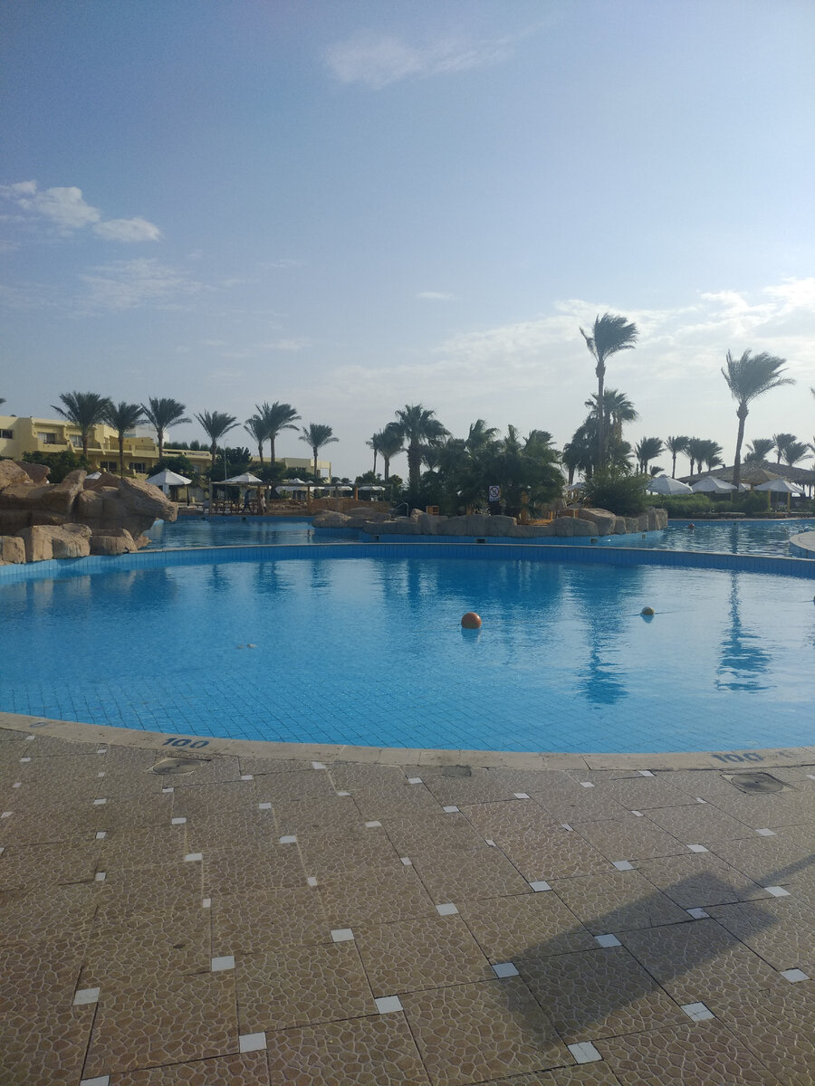 рейс москва шарм-эль-шейх. рейс москва шарм-эль-шейх. чартерные рейсы в египет. рейс шарм эль шейх нижний. рейс шарм эль шейх нижний.