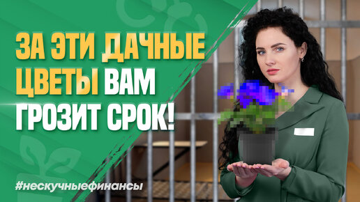 За какие дачные цветы могут посадить?