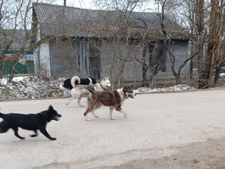     Фото: vk.com из группы "Сандово Live"