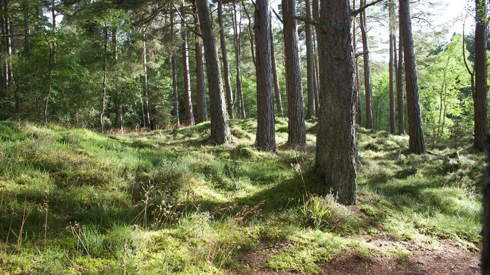 Фото: © unsplash.com/ Dave Robinson