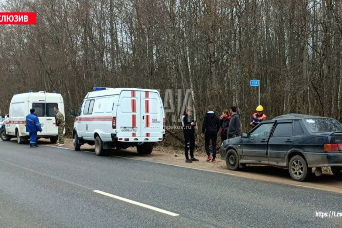    Отец с дочерью пострадали в результате ДТП с лосем в Гдовском районе