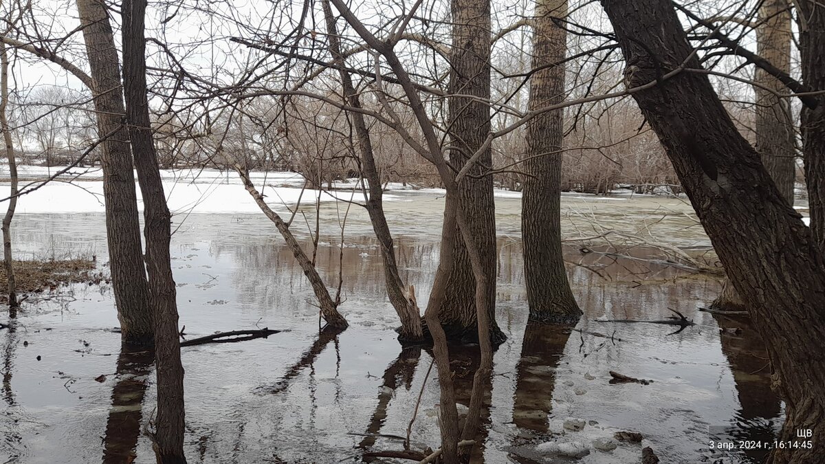 ну красиво же?