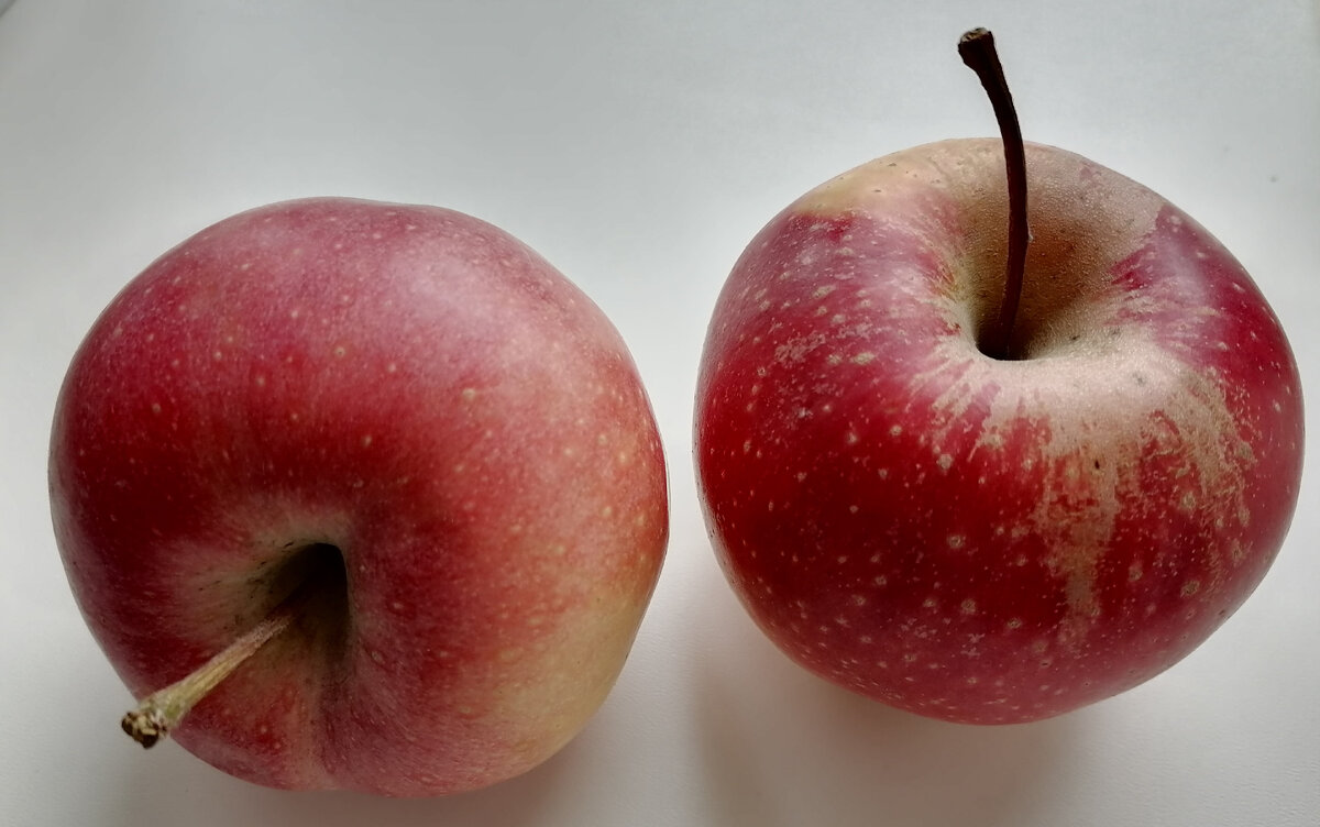 А можно просто есть яблоки. Вкусно и полезно.