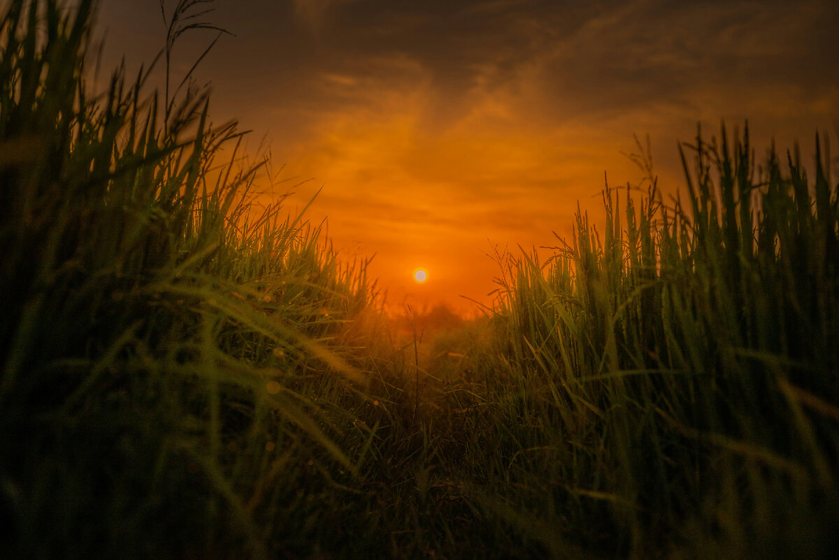 Картинка с бесплатного фотостока https://unsplash.com, автор Sourav Satpati