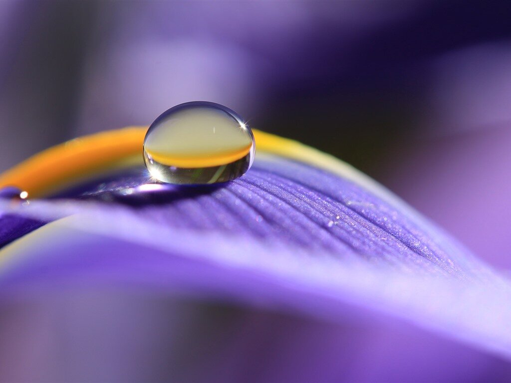 Да здравствует трансформация! 