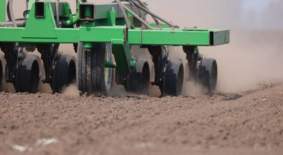 Фото: Антон Червяков / пресс-служба правительства Алтайского края