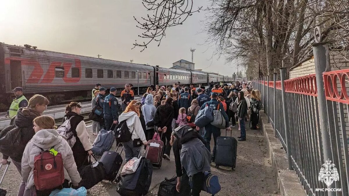 Сотни детей из Белгорода эвакуировали в Ставропольский край |  newstracker.ru | Дзен