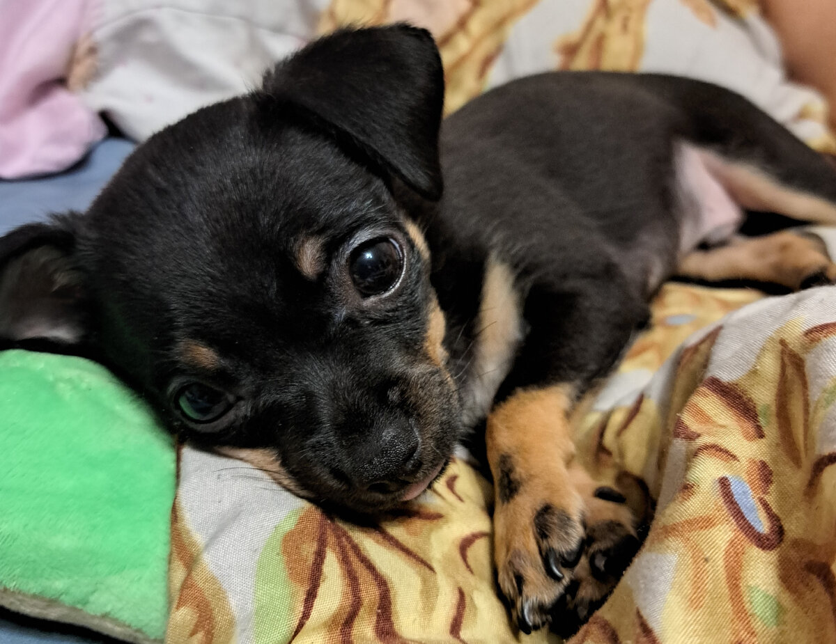 Сюнь в детстве. Фото из личного архива