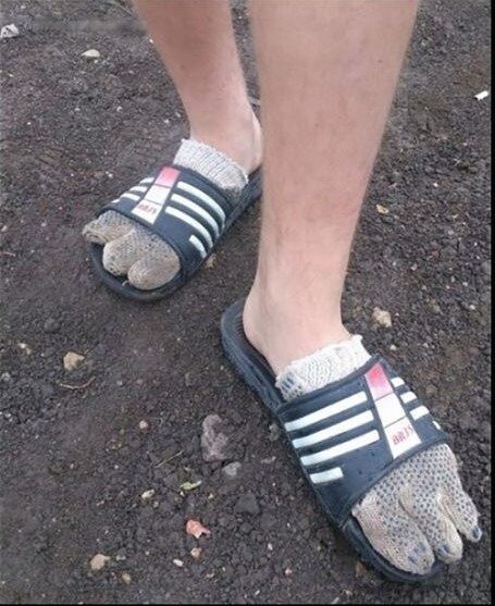 Про тапок. Тапочки скороходы смешные. С днем тапок. Кот и тапки. Прикольные тапочки.