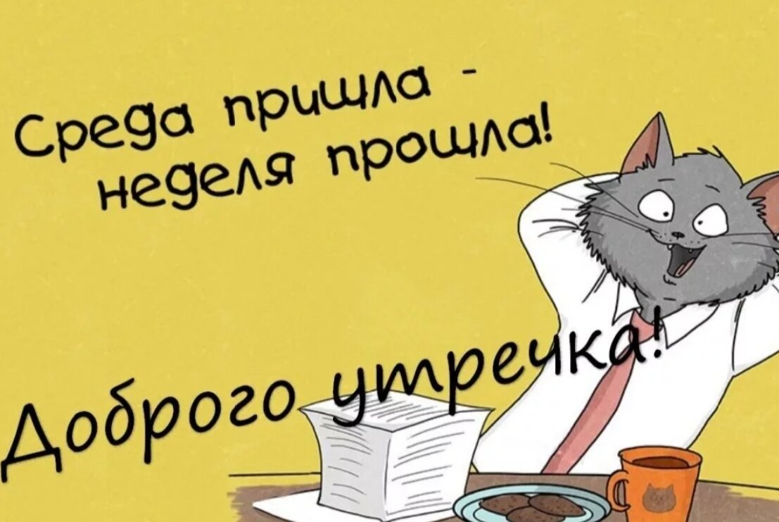 Доброе утро среда сентября прикольные картинки Середина недели. Art Har Дзен