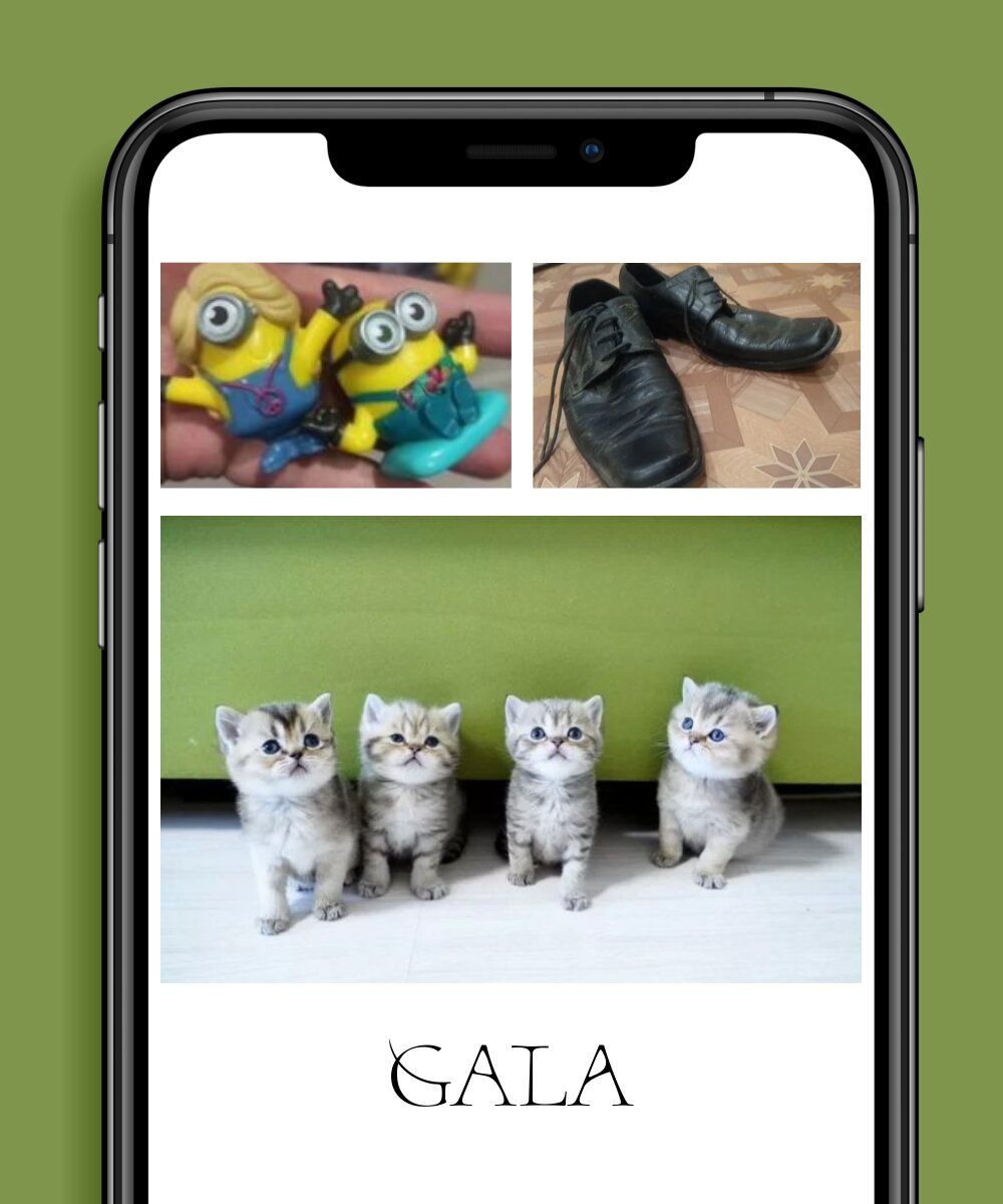 Автор фото: Ирина Звездина/GALA 