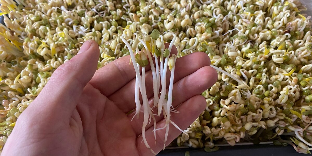 Фото: Дмитрий Замульский