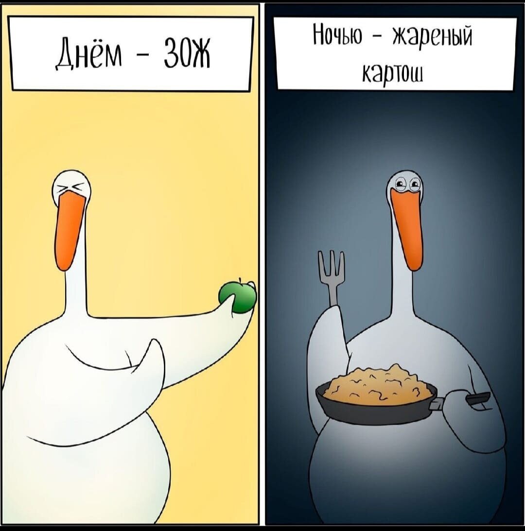 картинка из интернета