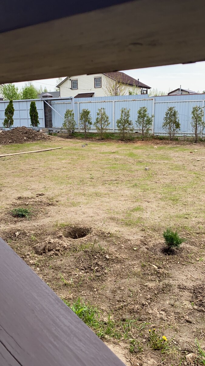 Наши некондиционные брабанты. 2021 год 