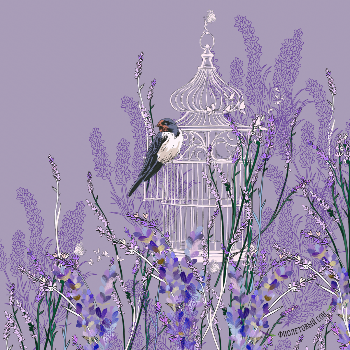 Фото с сайта violetdream.ru