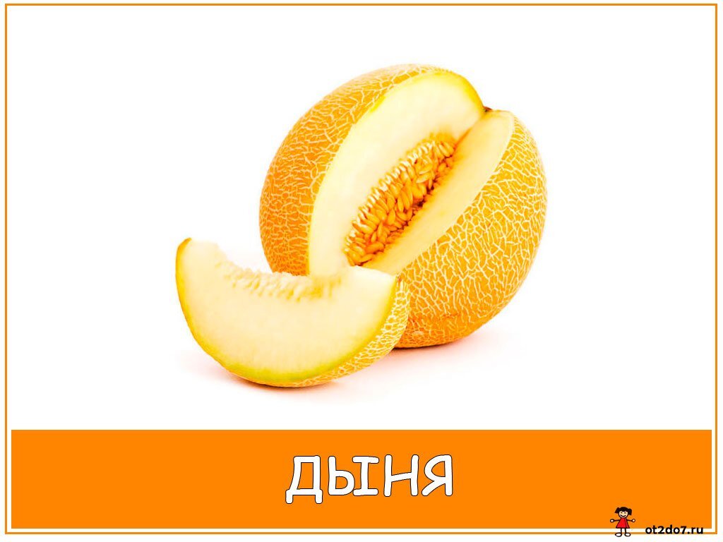 Дыня