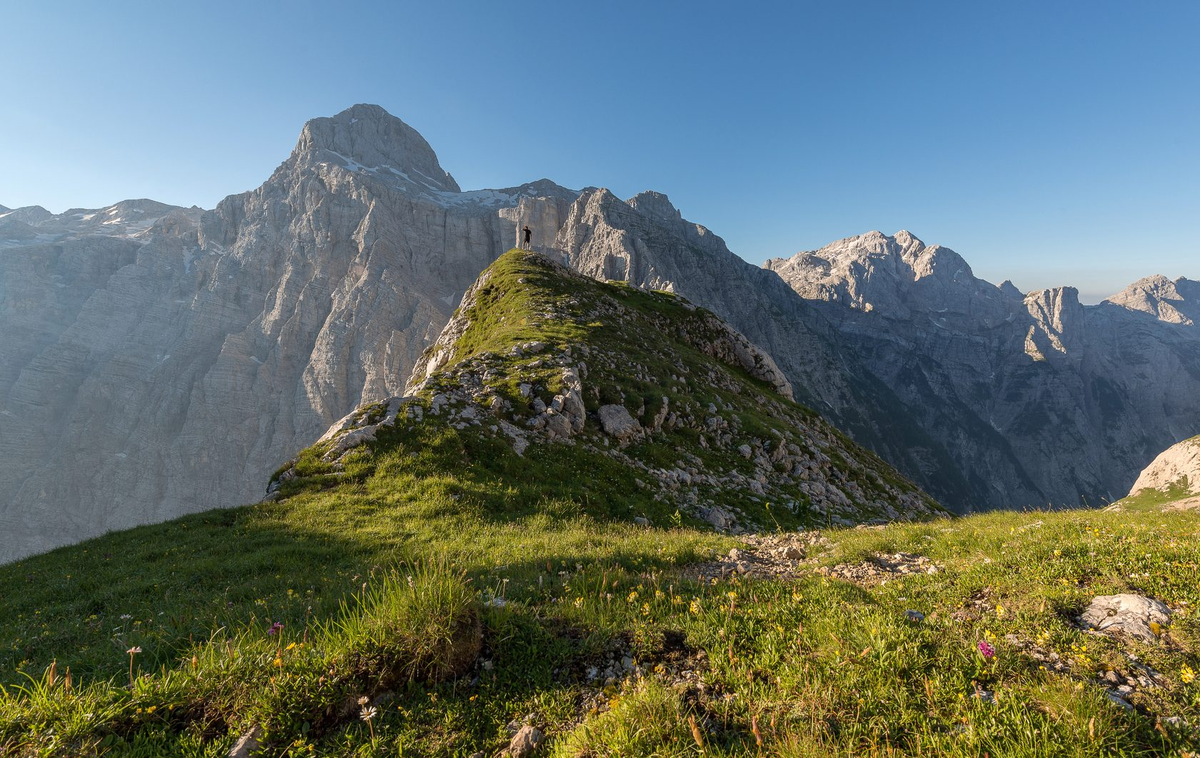 Яндекс Картинки.